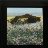 Böhl glass slide 60./1445